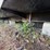 2000-horton-homes-inc.-14x64-2br/2bath-mobile-home-image-7