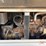 doosan-g25-image-10