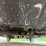 2019-nissan-versa-sedan-s-plus-(121,518-miles)-image-7