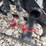 hydraulic-grapple-attachment-for-mini-skid-steer-image-4