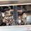 doosan-g25-image-6