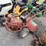horse-rototiller-image-2