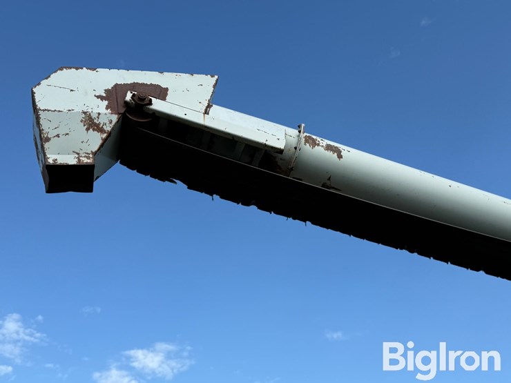 speed-king-10x60-image-17