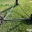 speed-king-10x60-image-9