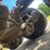2003-mack-ch613-image-110