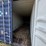2023-cimc-container-image-8