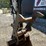 2024-bobcat-e35-image-9