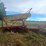 new-holland-1000-image-7