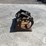 bobcat-68"-grapple-image-3