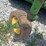 john-deere-mx10-image-19