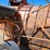 kelly-ryan-big-bagger-image-27