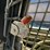 new-holland-c185-image-26