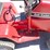 international-cub-image-17