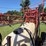hardi-650-image-29