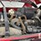 2019-mahindra-2638-hst-image-17