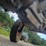 massey-ferguson-50-image-17