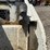 2019-bobcat-mt85-image-11