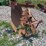 massey-ferguson-3-image-3