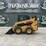 2021-caterpillar-242d3-image-1