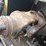 new-holland-660-image-9