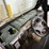 kawasaki-mule-4010-image-17