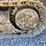 2000-caterpillar-953c-image-9