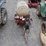 sprayer-on-2-wheeled-cart-image-3