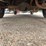 2010-ford-econoline-350-image-23