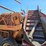 kelly-ryan-big-bagger-image-19