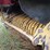 new-holland-654-image-25