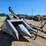 new-idea-324-image-7