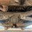 2017-ford-escape-se-image-10