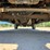 2016-ford-f250-xl-image-18