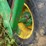 john-deere-946-image-26