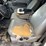 2005-ford-f250-image-21