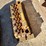 caterpillar-3306-image-5