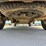 2016-ford-f250-xl-image-21