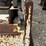bobcat-542b-image-10