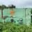#1619-•-manitowoc-debarking-machine-image-3