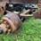 #1572-•-wood-hauling-parts-image-10