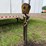 #1558-•-grove-15-ton-crane-image-14