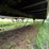 #1385-•-1974-gindy-semi-van-trailer-full-of-wood-image-34