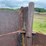 #1389-•-large-steel-pintle-hitch-trailer-with-broken-frame-(no-title)-image-8