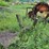 #1625-•-portable-log-cutter-image-1