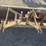 landpride-gb1572-6'-3-pt-box-scraper-image-5