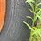 prentice-d210c-image-19