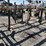 custom-3-pt-3-row-60"-cultivator-image-11