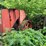 #1622-•-mack-engine-powering-portable-chipper-image-5