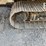 2022-caterpillar-313-image-10