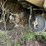 #1392-•-1974-fleetstar-2070a-tandem-axel-dump-truck-image-26